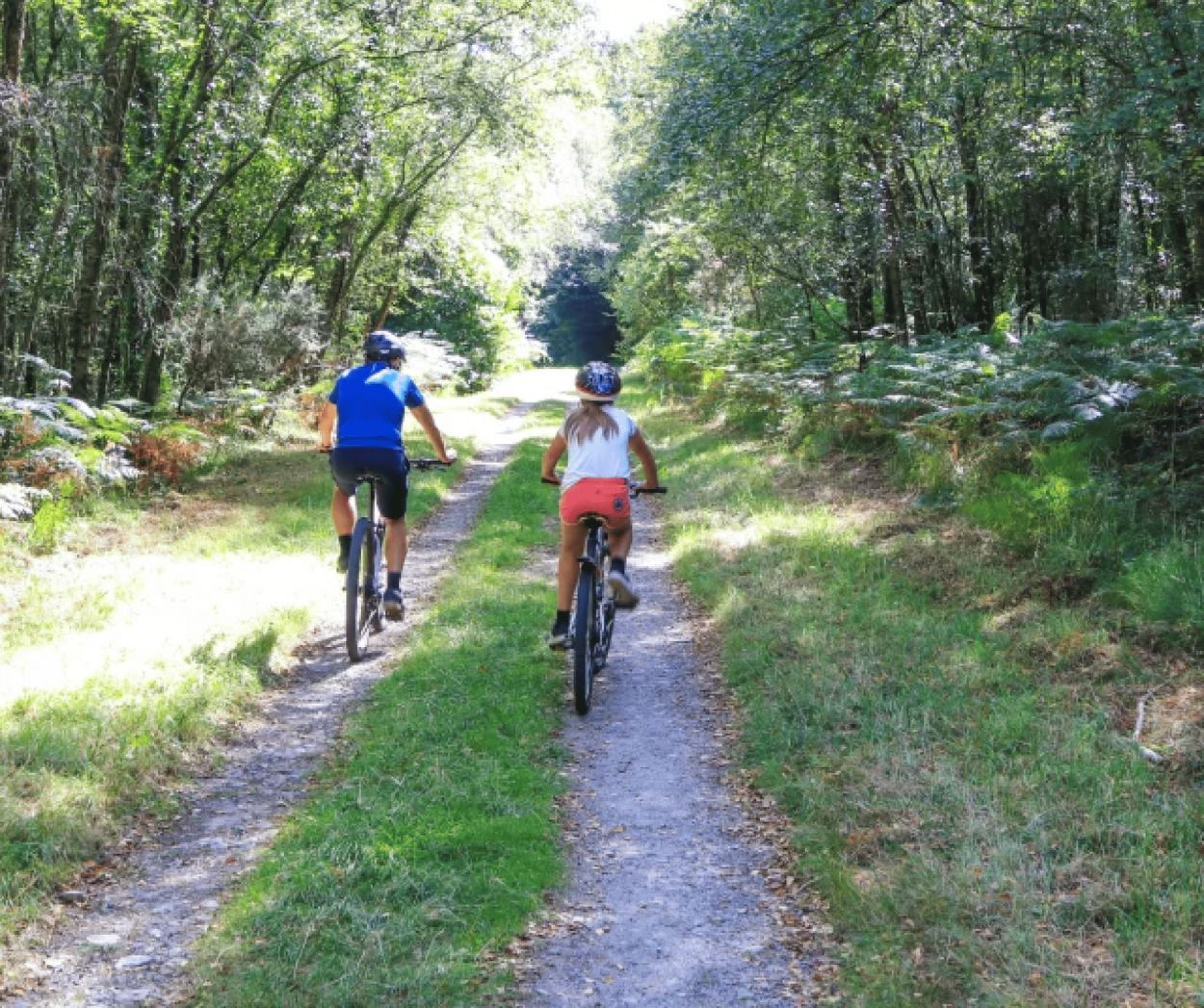 Forêt de Camors en van aménagé