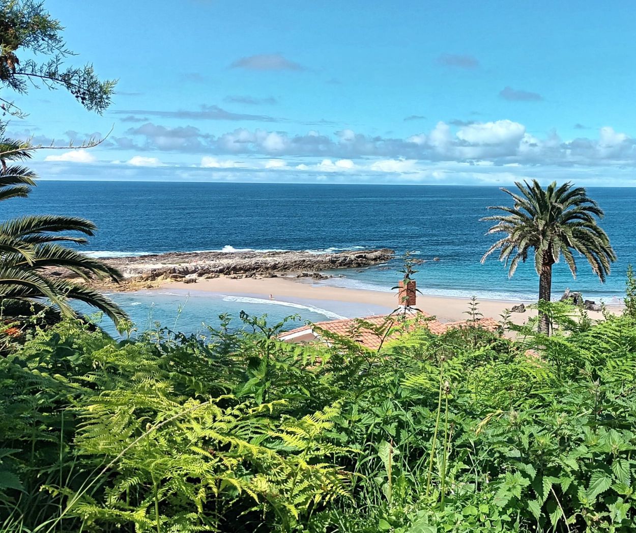 Playa del Amio